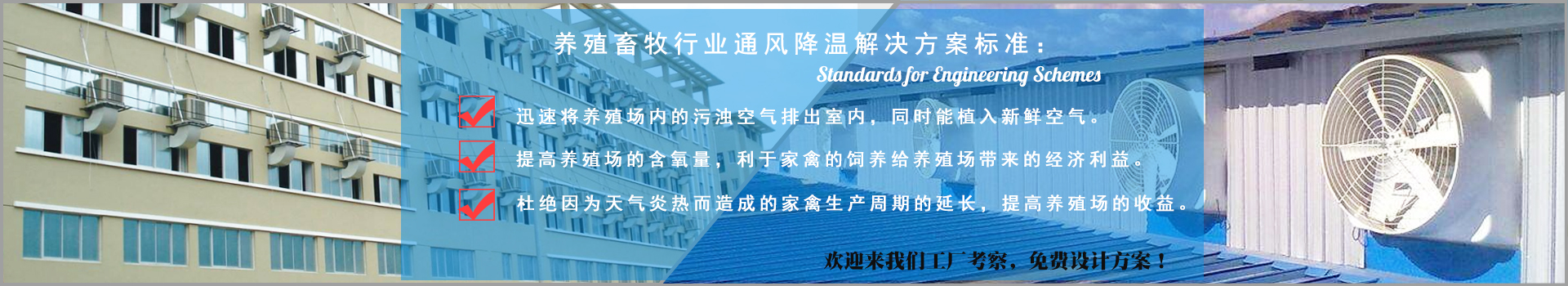 養殖畜牧行（háng）業通風降溫解決方案