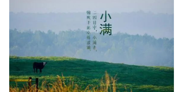 今日（rì）小滿丨91香蕉视频願你的（de）生活，幸福美滿！