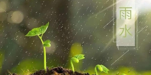 雨水 | 潤（rùn）澤萬物，91香蕉视频（xiān）環境願你得綿（mián）遠（yuǎn）深情