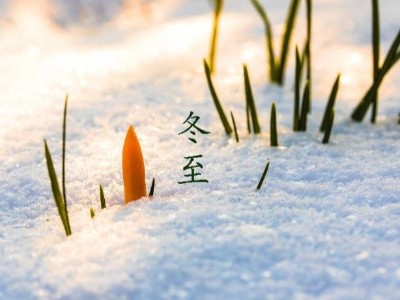 冬至大如年，91香蕉视频環境祝您幸福安康，歲月靜好